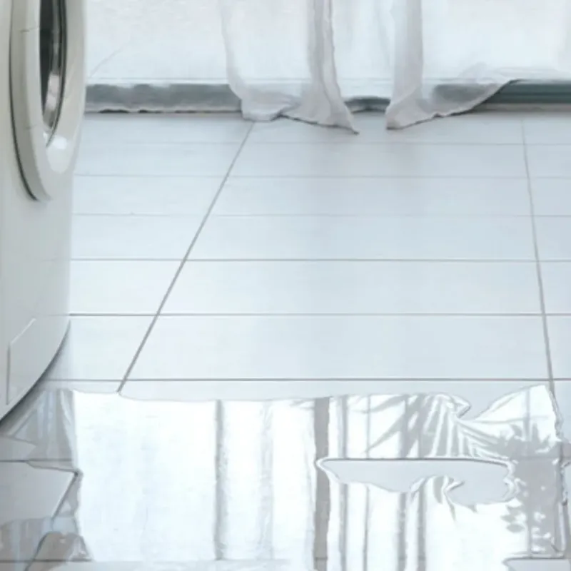 Appliance Leak Cleanup in Fort Myers Beach, FL